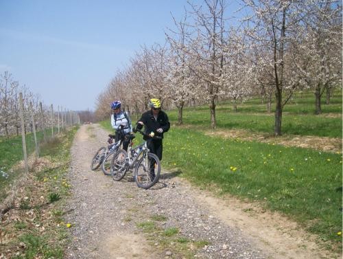Foto Fahrradfahrer auf Wanderweg Foto Fahrradfahrer auf Wanderweg