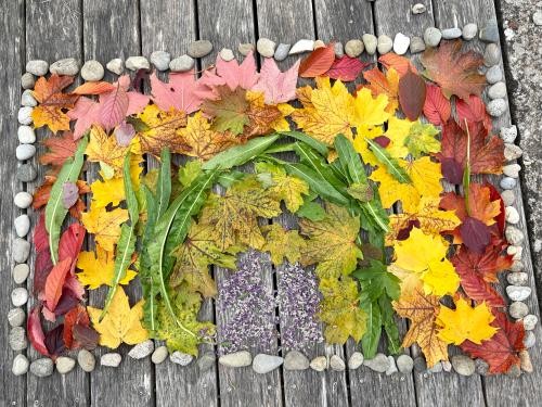 Foto Kunstwerk Regenbogen Foto Kunstwerk Regenbogen