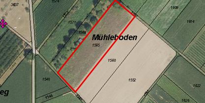 Lageplan Gemarkung Liel Flurstück 1565 Lageplan Gemarkung Liel Flurstück 1565